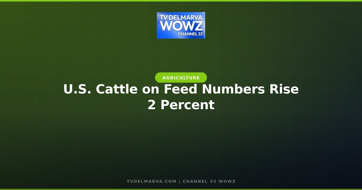U.S. Cattle on Feed Numbers Rise 2 Percent