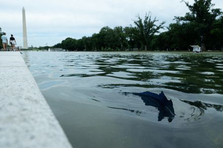 Paint Already Peeling at Lincoln Memorial Reflecting Pool After $14.7M Renovation