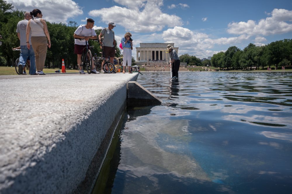 Trump Blames Vandalism for Reflecting Pool Problems, Provides No Proof