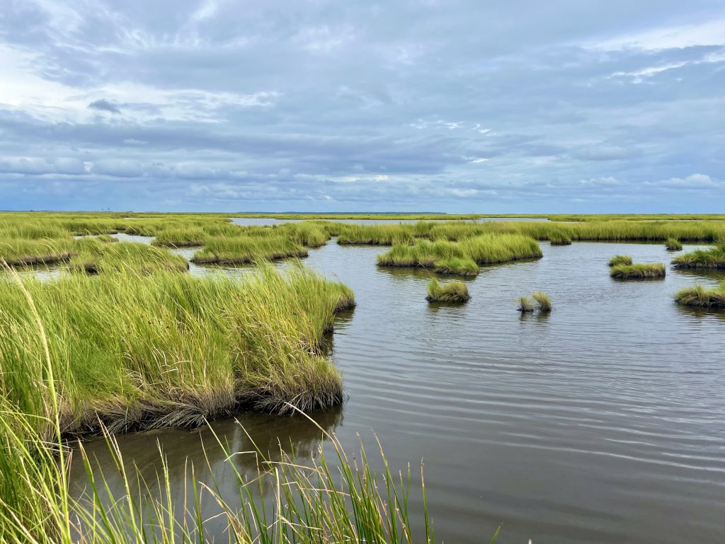 Maryland Awards $4.5M to Protect Eastern Shore Marshes and Coastal Communities