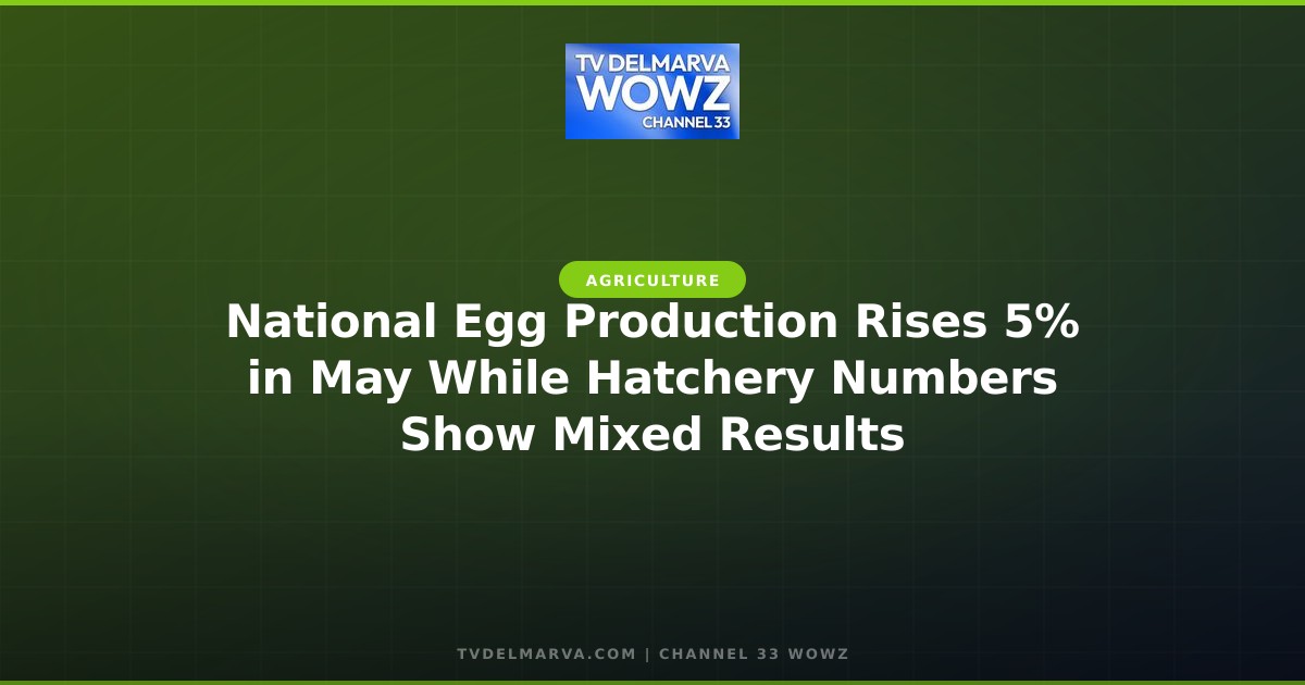 National Egg Production Rises 5% in May While Hatchery Numbers Show Mixed Results