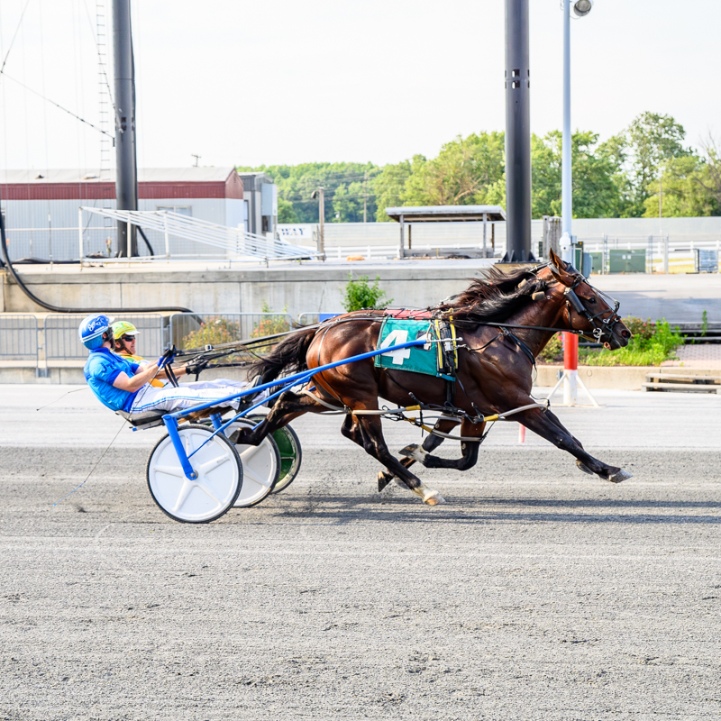 Watch Em Win Takes Top Honors at Harrington Raceway DSBF Stakes