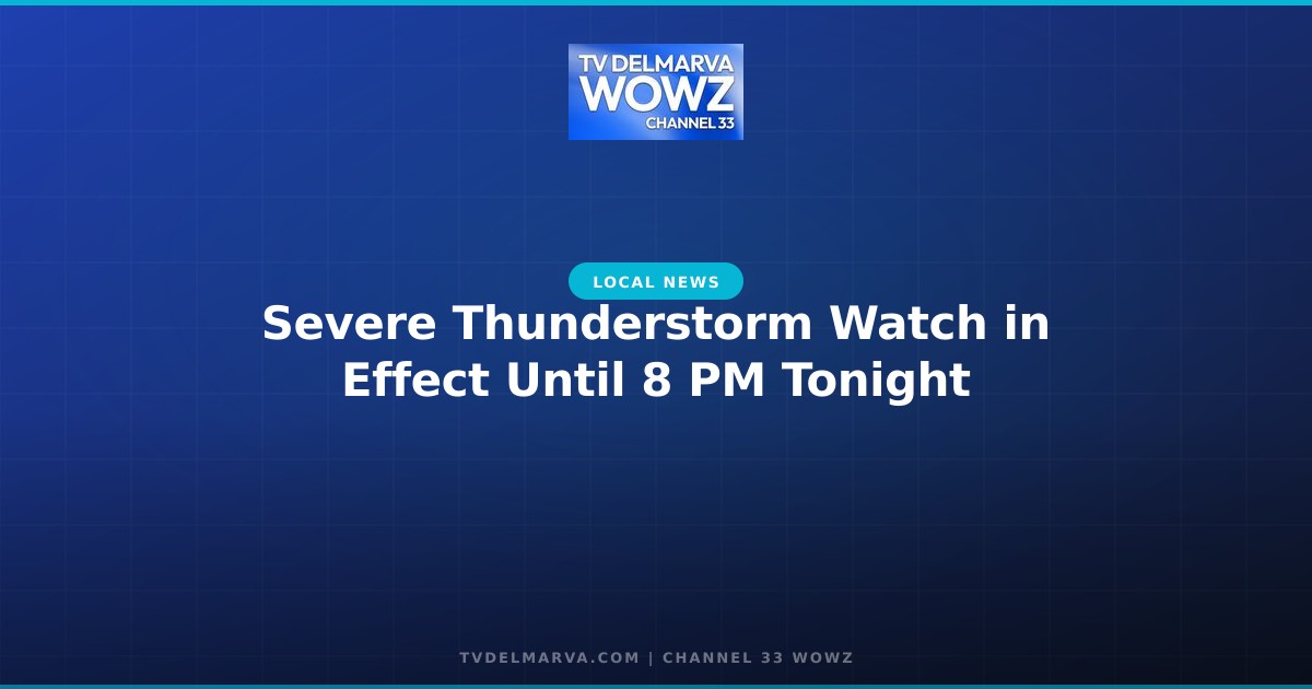 Severe Thunderstorm Watch in Effect Until 8 PM Tonight