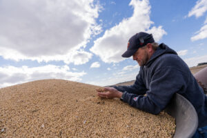 Soybean Farmers Squeezed by Soaring Input Costs and Shrinking Markets