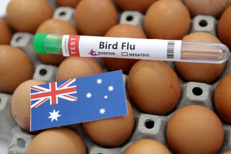 Australia Boosts Bird Flu Testing After First Mainland Cases Confirmed