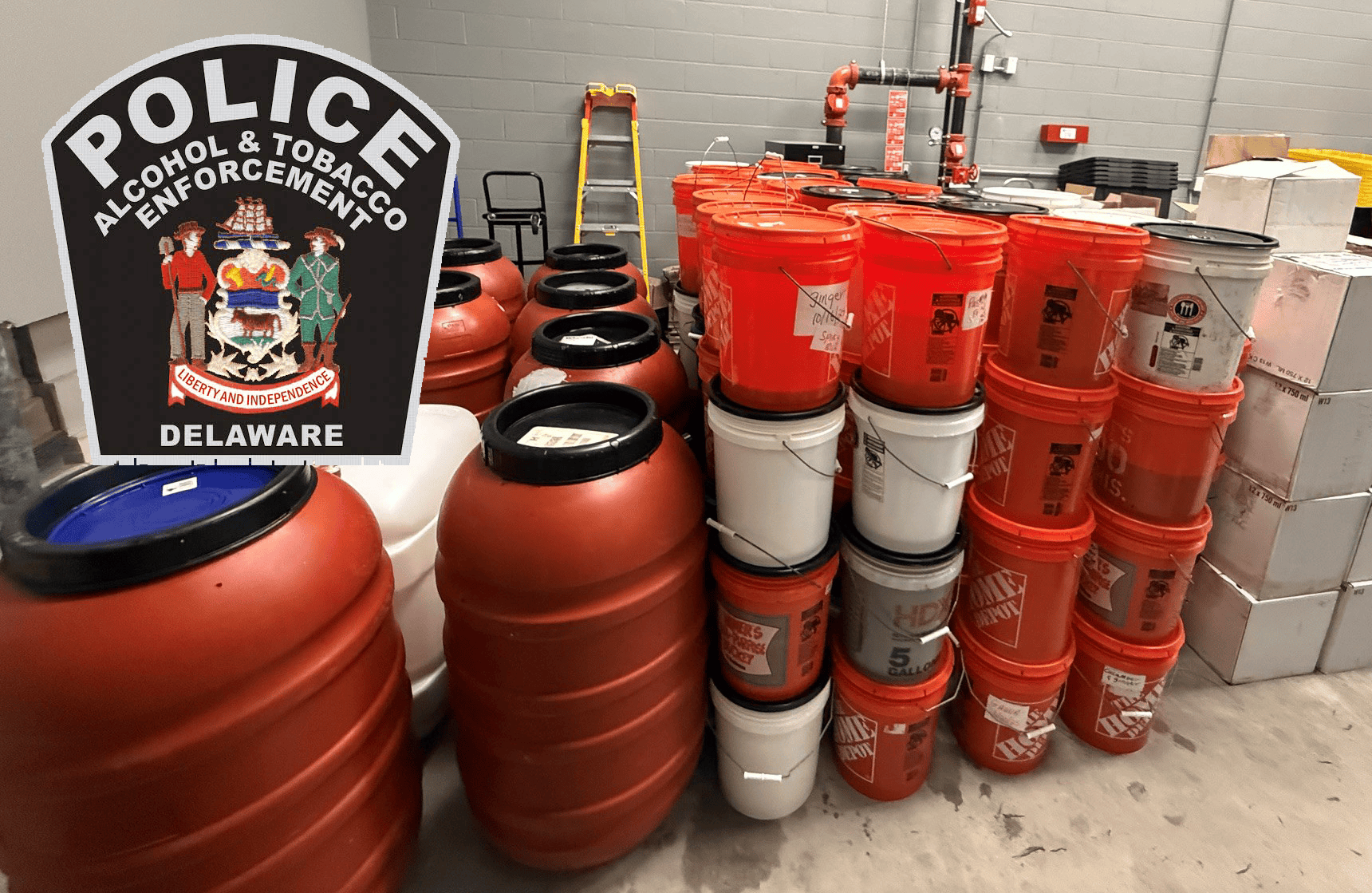 Dover Woman Arrested for Running Unlicensed Wine Business