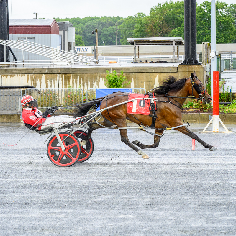 Warrens Charm Wins $20K DSBF Filly Division at Harrington Raceway