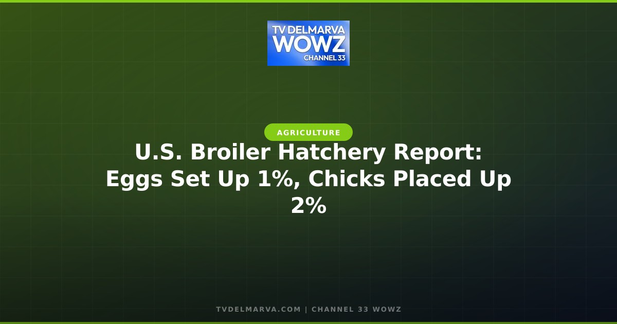 U.S. Broiler Hatchery Report: Eggs Set Up 1%, Chicks Placed Up 2%