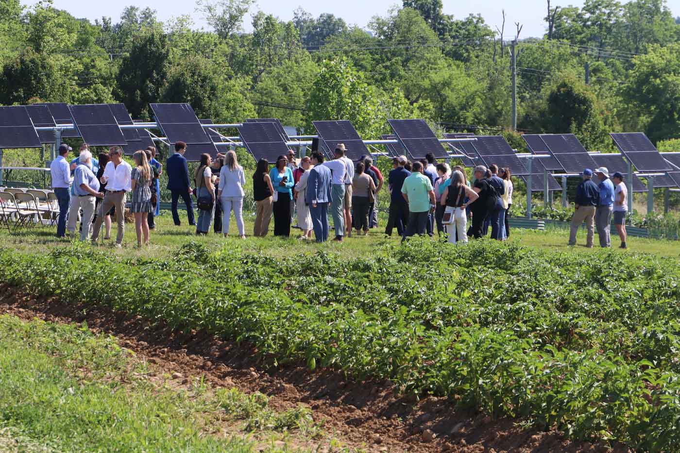 Virginia Gov. Spanberger Signs Law Giving Agrivoltaics an Official Definition