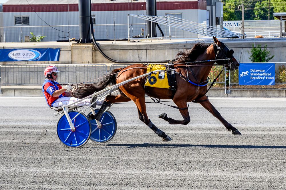 3-Year-Old Trotters Take the Track in DSBF Divisions at Harrington Raceway