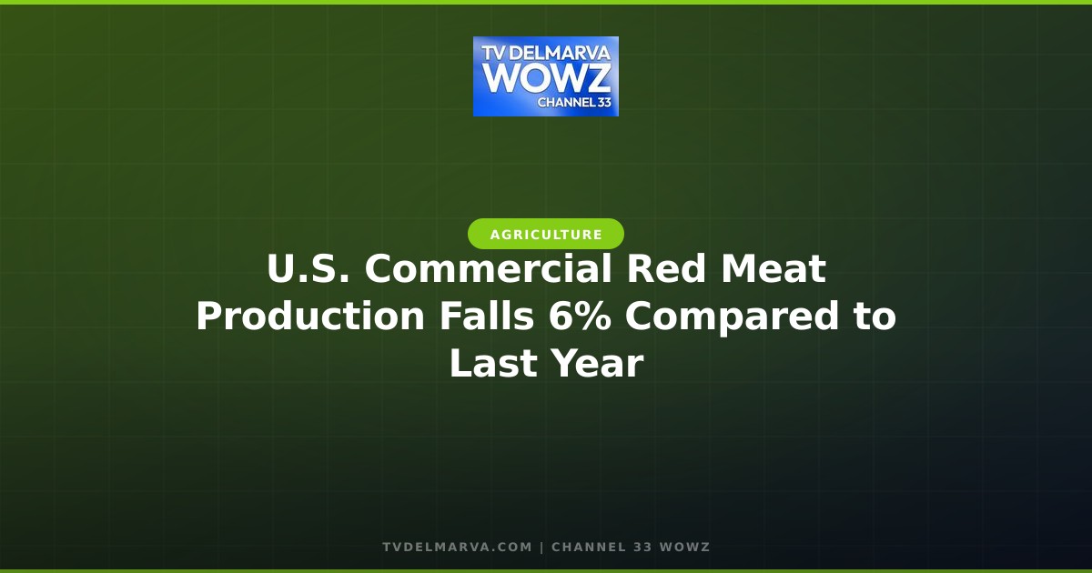 U.S. Commercial Red Meat Production Falls 6% Compared to Last Year