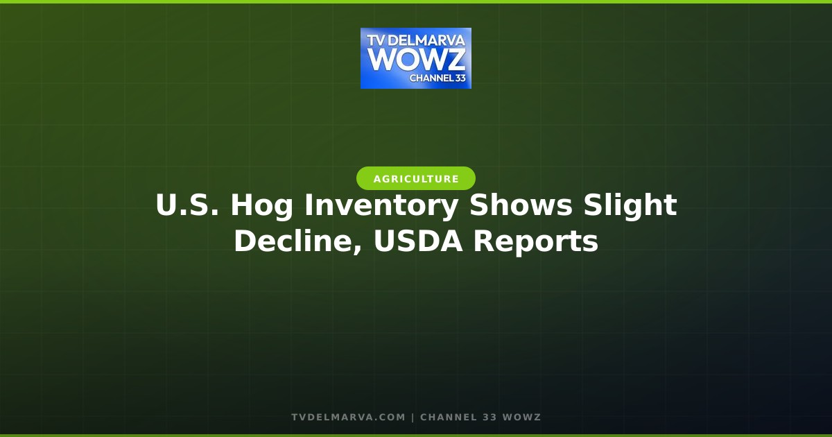 U.S. Hog Inventory Shows Slight Decline, USDA Reports