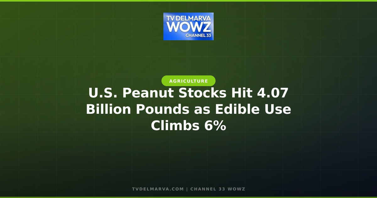 U.S. Peanut Stocks Hit 4.07 Billion Pounds as Edible Use Climbs 6%