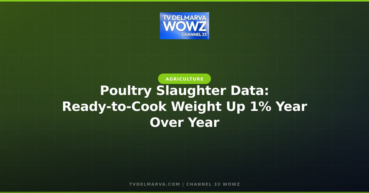 Poultry Slaughter Data: Ready-to-Cook Weight Up 1% Year Over Year
