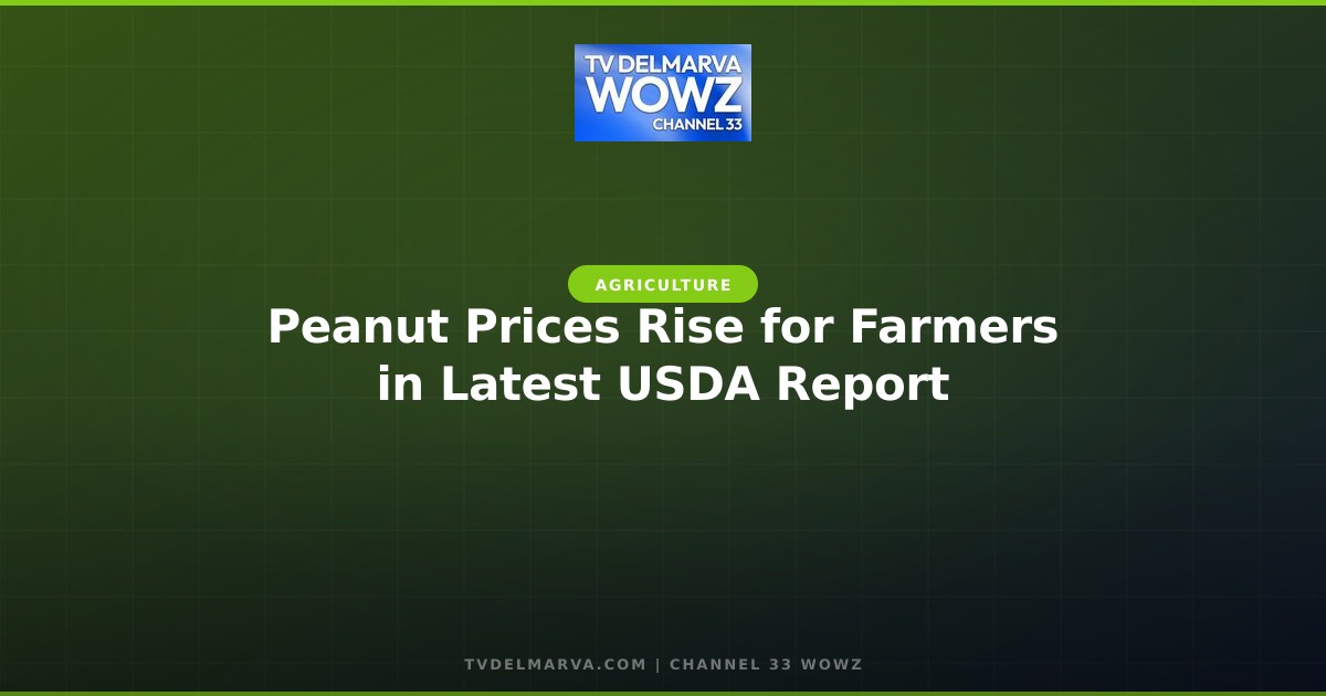 Peanut Prices Rise for Farmers in Latest USDA Report