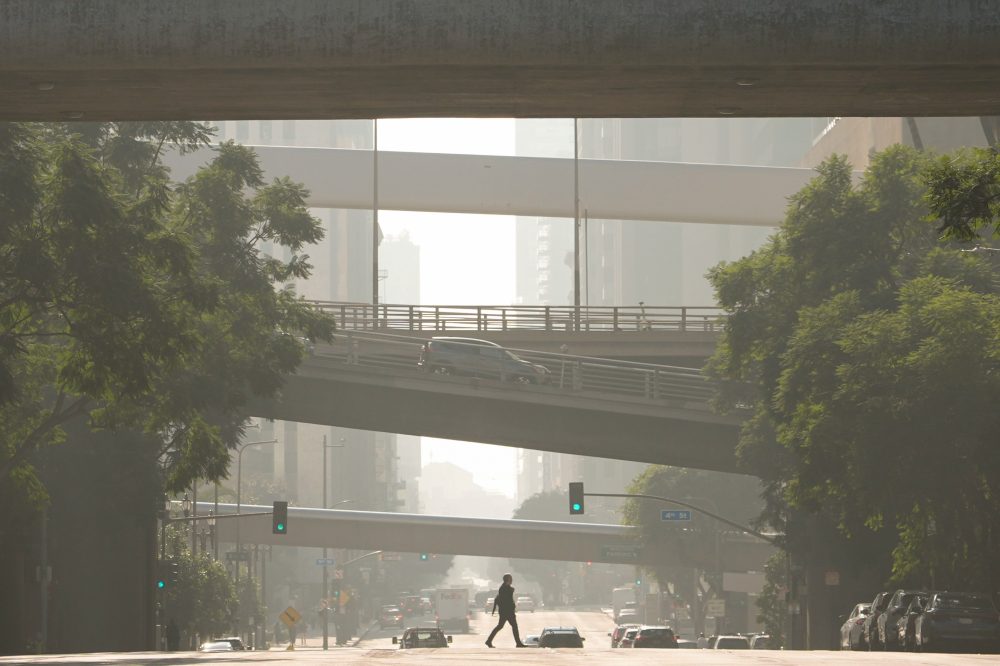 Federal Appeals Court Blocks Trump EPA’s Move to Scrap Soot Pollution Rule