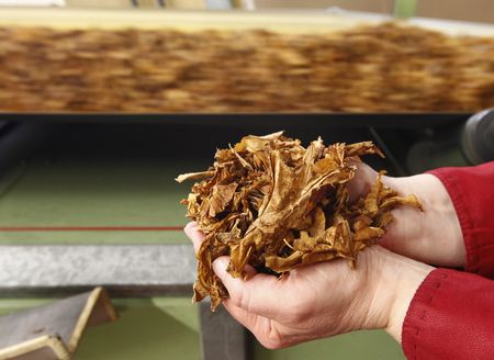 British American Tobacco to Eliminate 5,500 Jobs in Global Restructuring