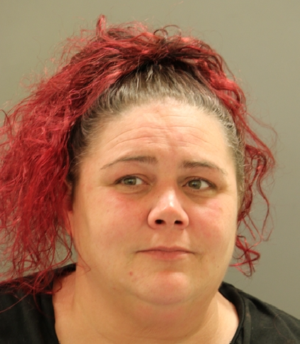 New Castle Woman Arrested on Drug and Firearm Charges After County Investigation