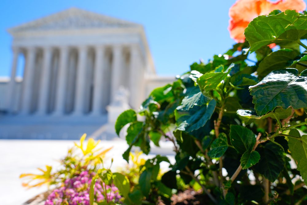 Supreme Court Upholds States’ Right to Count Late Mail Ballots