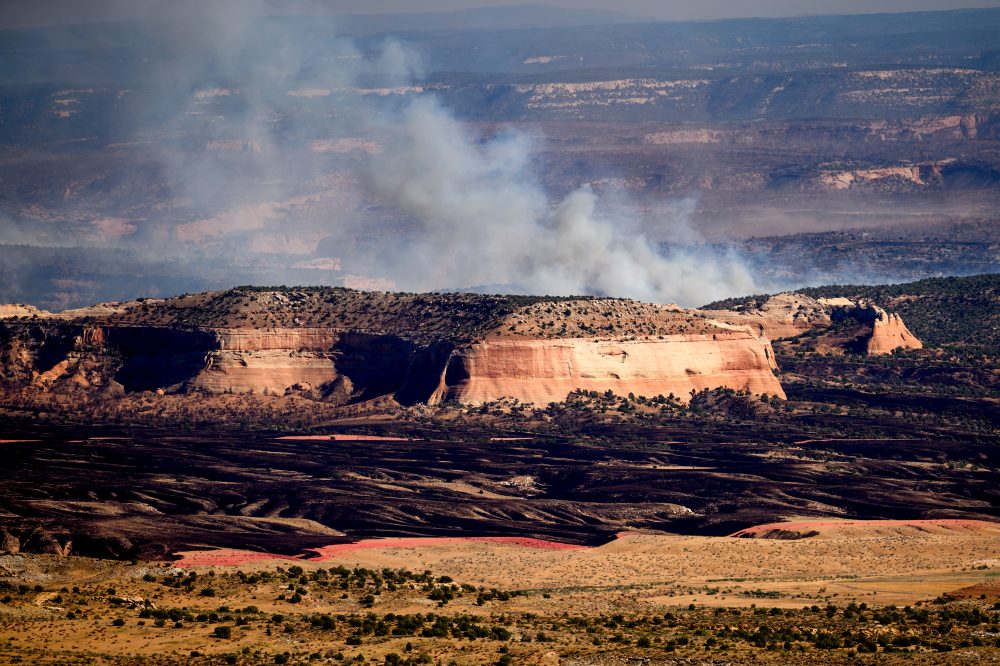 Three Wildland Firefighters Named After Dying in Colorado-Utah Border Blazes