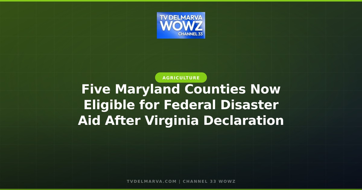 Five Maryland Counties Now Eligible for Federal Disaster Aid After Virginia Declaration