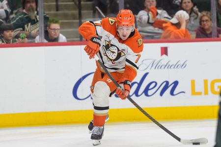 Florida Panthers Reacquire Rights to Defenseman Radko Gudas in Trade with Anaheim
