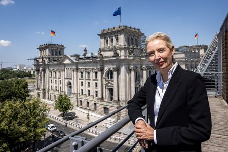 AfD Leader Pushes to Restore Russian Energy Ties, Sets Sights on German Chancellery