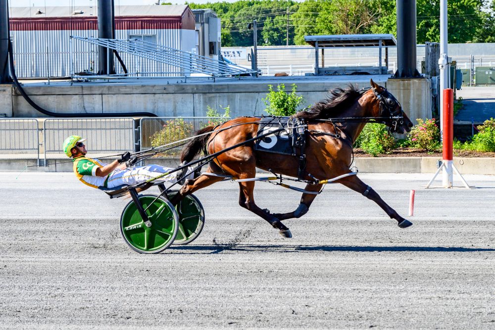 C Millertimeagain Wins Sixth Career Race at Harrington Raceway