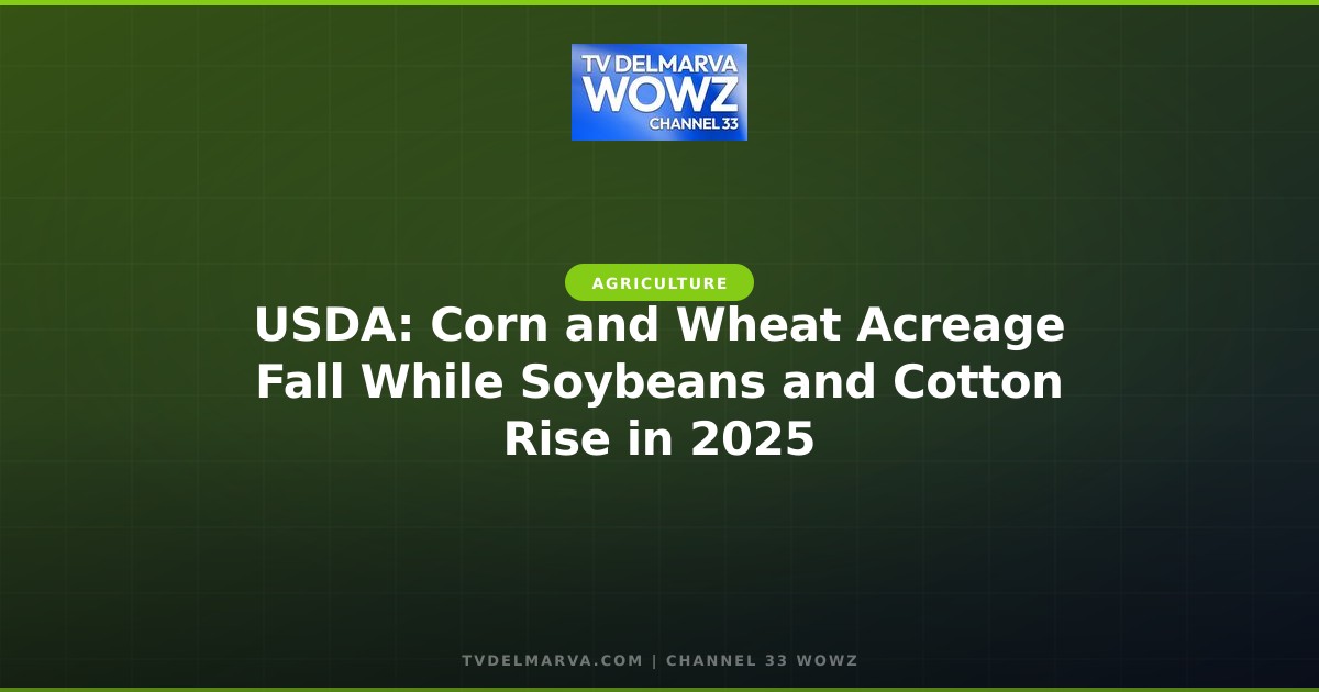 USDA: Corn and Wheat Acreage Fall While Soybeans and Cotton Rise in 2025