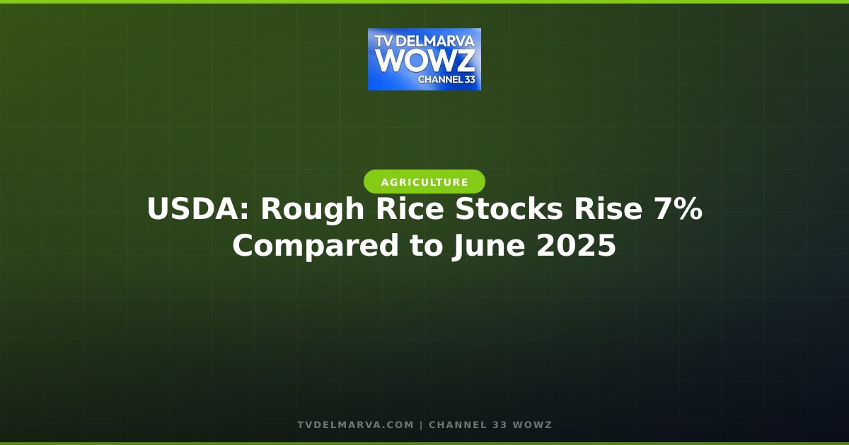 USDA: Rough Rice Stocks Rise 7% Compared to June 2025