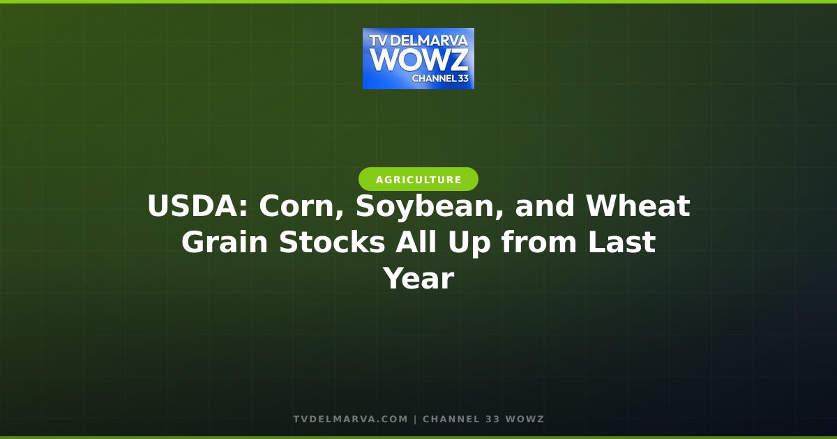 USDA: Corn, Soybean, and Wheat Grain Stocks All Up from Last Year