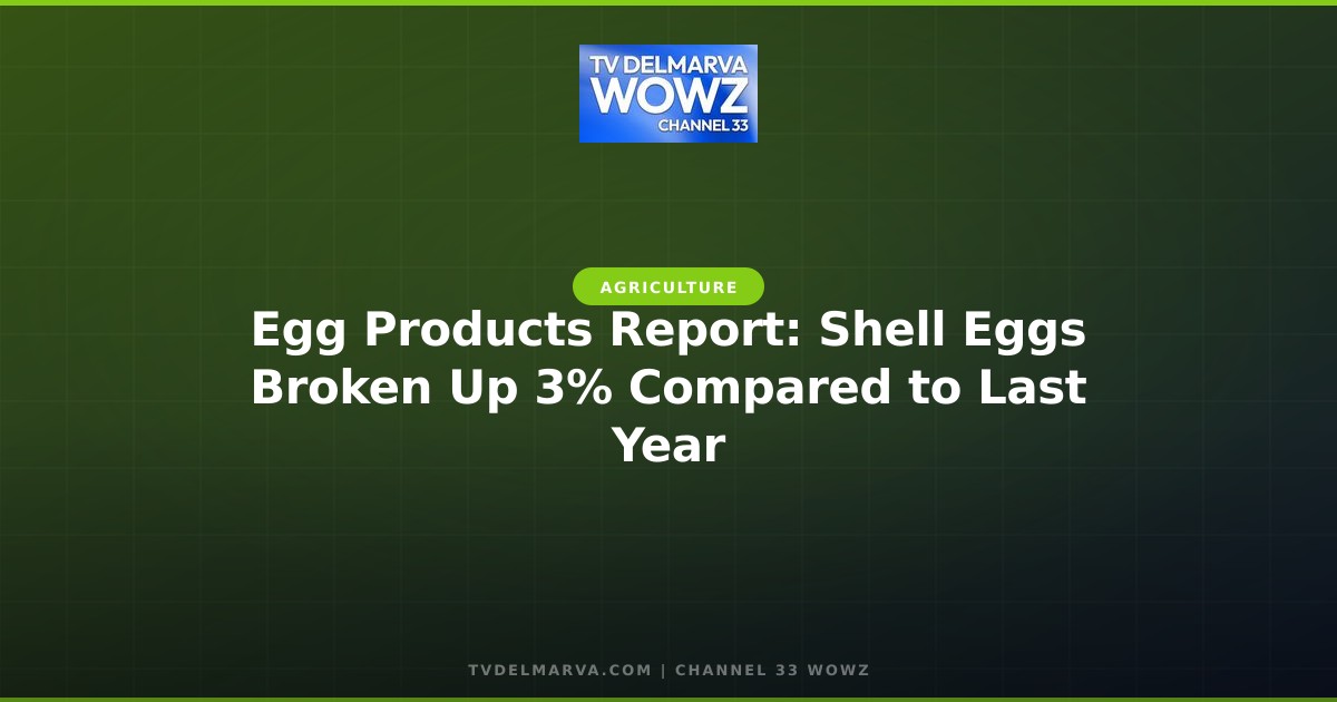 Egg Products Report: Shell Eggs Broken Up 3% Compared to Last Year