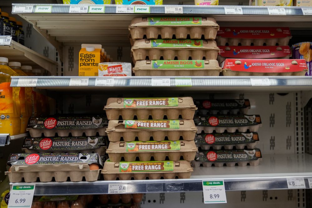 Egg Producers to Pay $3.3M and Donate 53 Million Eggs in Price-Fixing Settlement