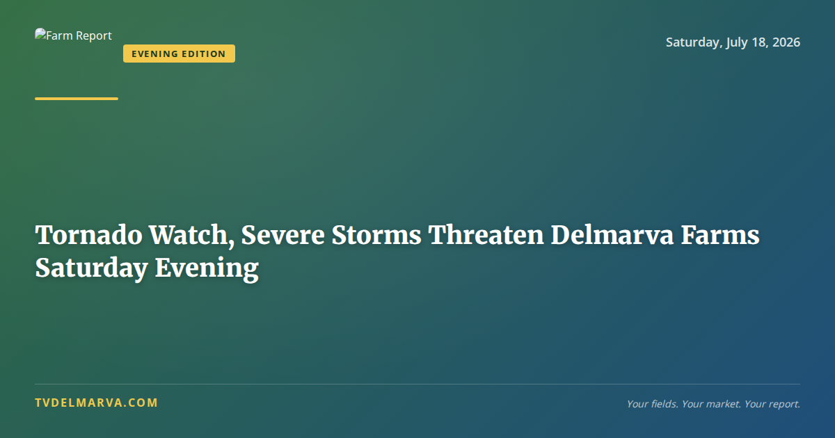 Tornado Watch, Severe Storms Threaten Delmarva Farms Saturday Evening