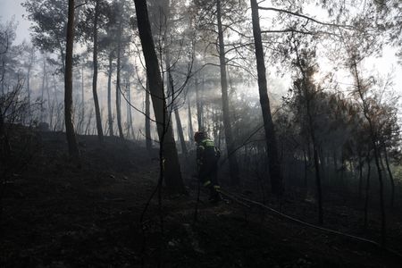 Two Killed as Wildfire Destroys Home in Northern Greece