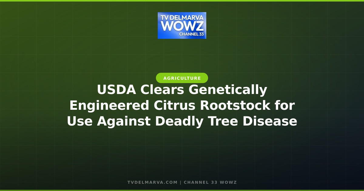 USDA Clears Genetically Engineered Citrus Rootstock for Use Against Deadly Tree Disease