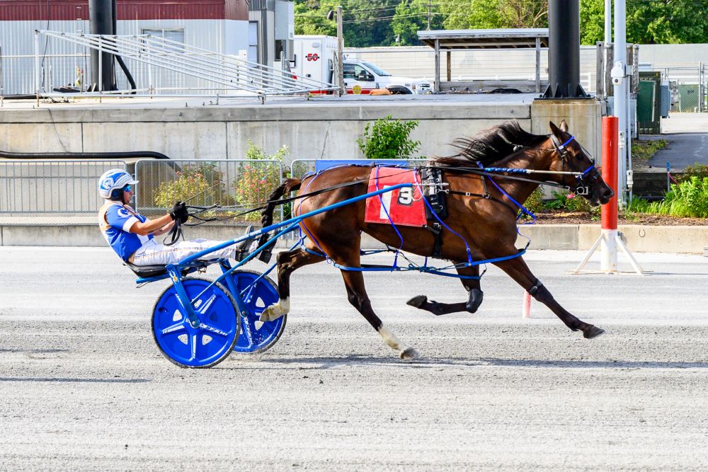 Two Horses Claim DSBF Division Wins at Harrington Raceway
