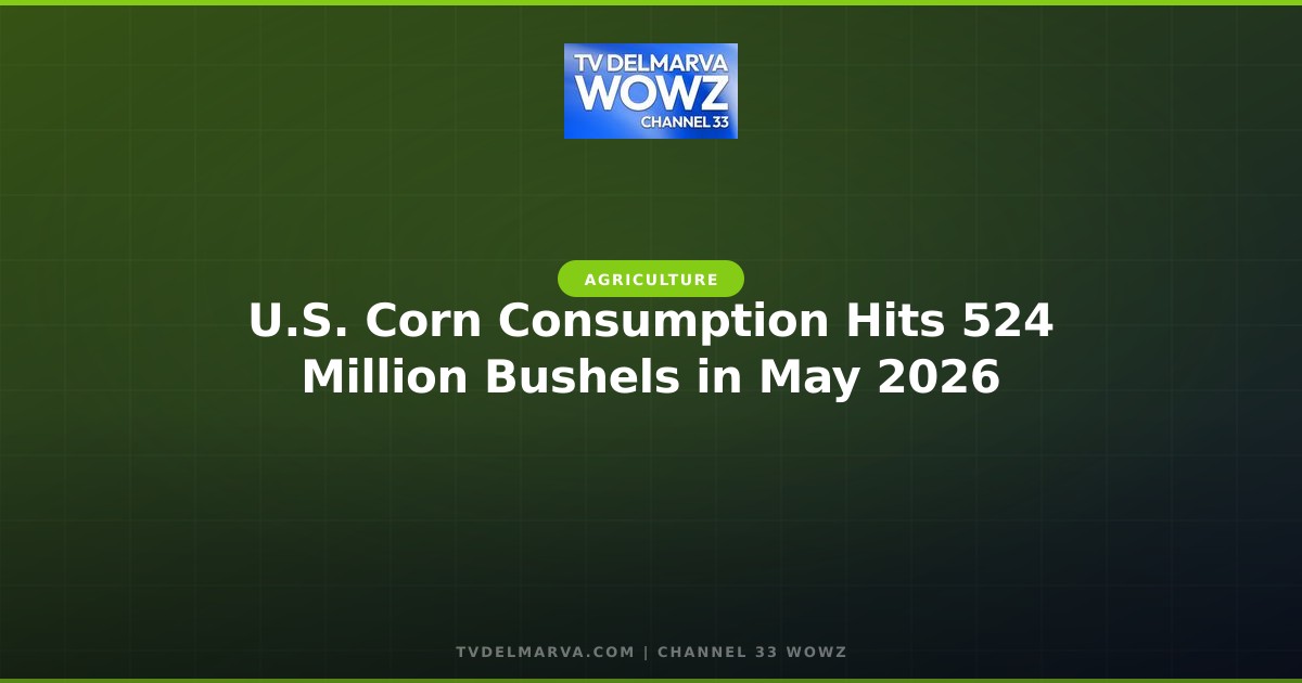 U.S. Corn Consumption Hits 524 Million Bushels in May 2026