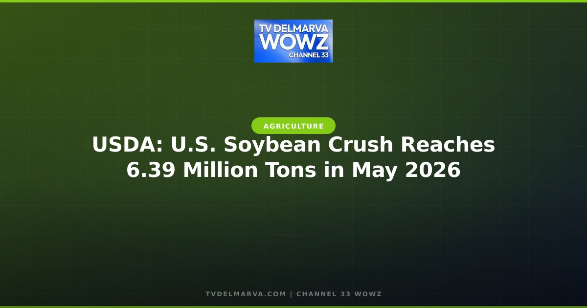 USDA: U.S. Soybean Crush Reaches 6.39 Million Tons in May 2026