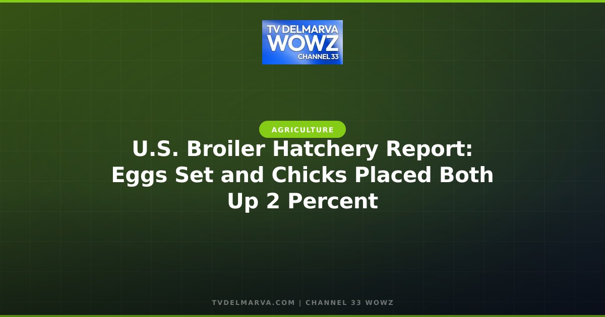 U.S. Broiler Hatchery Report: Eggs Set and Chicks Placed Both Up 2 Percent