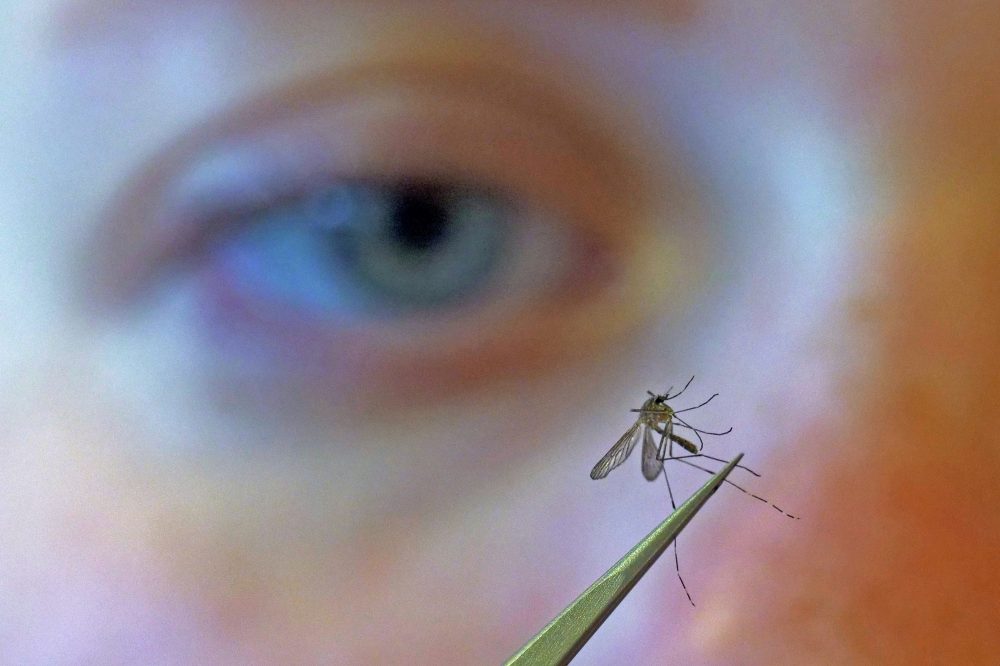 CDC Warns of Worst West Nile Virus Season Start in Over 20 Years