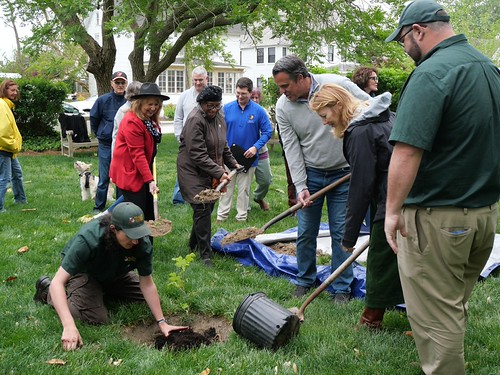 Maryland Plants Living Pieces of Revolutionary History in Every County