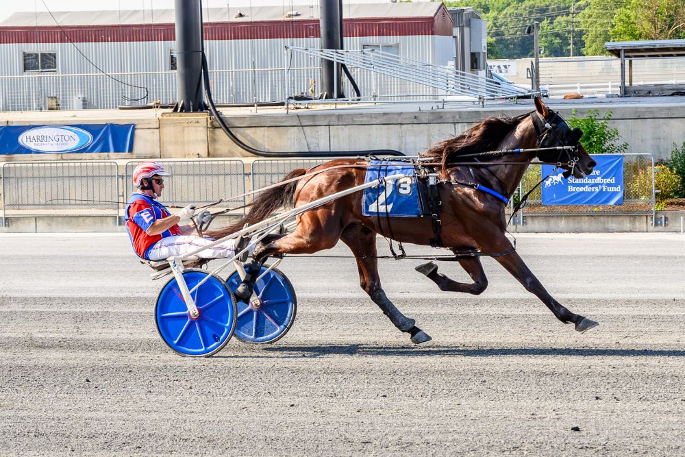 DSBF 3-Year-Old Trotters Set Stage for $110,000 Championship Final