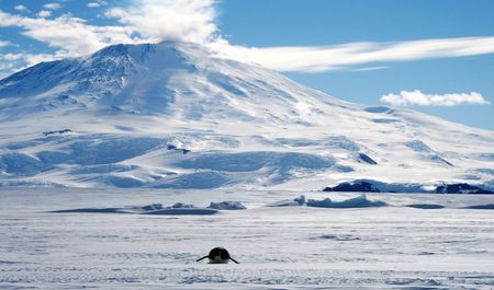 Scientists Crack the Mystery of Why Antarctica Froze Millions of Years Before the Arctic