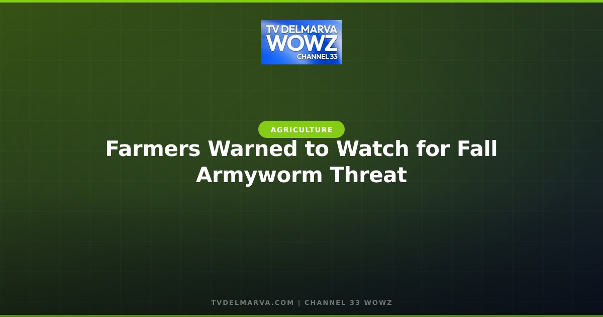 Farmers Warned to Watch for Fall Armyworm Threat