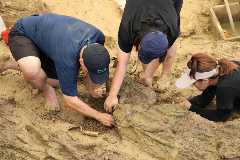 Ancient Gold Rings Unearthed at Thai Archaeological Site
