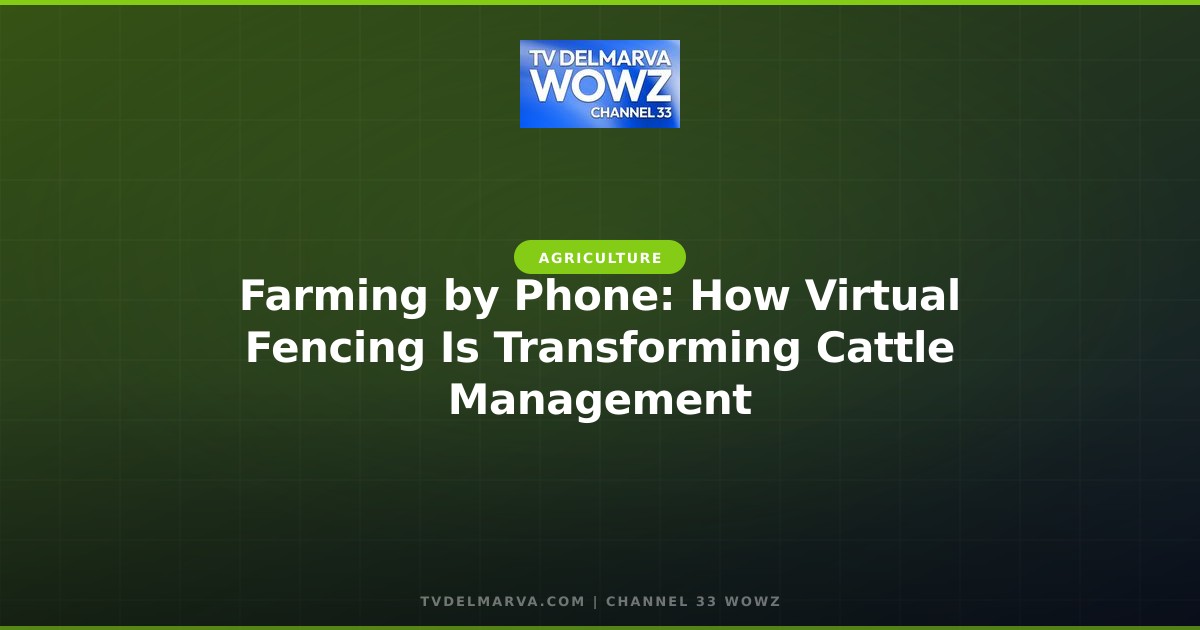 Farming by Phone: How Virtual Fencing Is Transforming Cattle Management