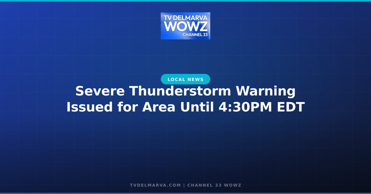 Severe Thunderstorm Warning Issued for Area Until 4:30PM EDT