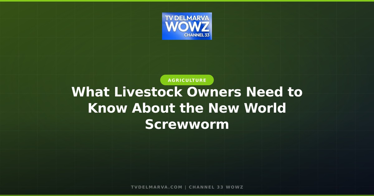 What Livestock Owners Need to Know About the New World Screwworm