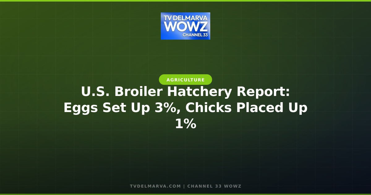 U.S. Broiler Hatchery Report: Eggs Set Up 3%, Chicks Placed Up 1%